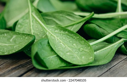 Wet fresh green baby spinach leaves on a wooden background. - Shutterstock ID 2247048105