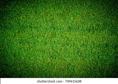 Wet grass surface on sport field texture - Shutterstock ID 749615638