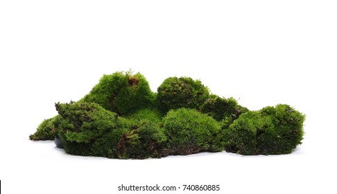 Wet Green Mossy Hill Isolated On White Background