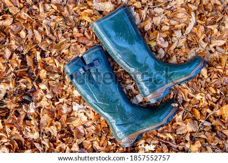 Wet, green rubber boots lie in the colorful leaves and give the autumn day a splash of color.