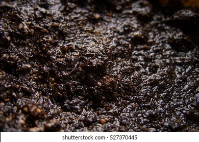 Wet Ground In A Pot, Close-up Macro