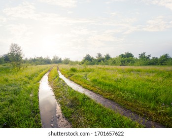 Wet Ground Road Through Green Prairie At The Sunset, Outdoor Countryside Scene