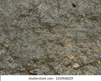 Wet Ground Texture