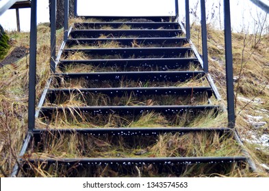 wet iron ladder on grassy mountain