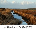 Wet Land in an Irish Turf Bog