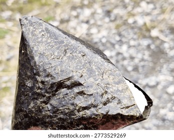 Wet moss-covered rock with triangular shape reflecting nature's texture in outdoor gravel terrain.