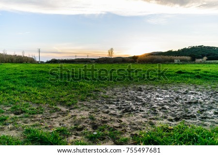 Wet mud puddle in field and sunset