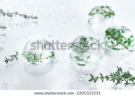 Wet off white water background with melting balls of ice with frozen herbs. Rosemary, oregano and thyme plants. Frozen plants inside pieces of ice. Direct natural sunlight with shadows.