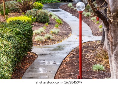 Wet Paved Trail Going Through A Park On A Rainy Day; California