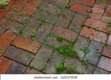 Wet Pavers Background On A Diagonal View, Horizontal Aspect