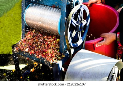 Wet process for ripe coffee wash in pulping machine by pulper. Harvested coffee beans ready to have their pulp removed are placed into a traditional hand turned machine. 