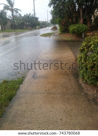 Wet and rainy day after Hurricane Irma