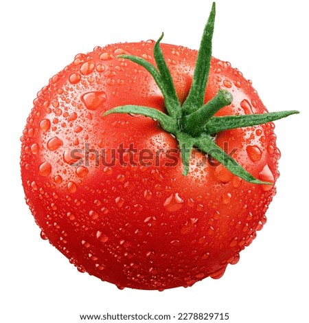Wet red tomatoes isolated on white background with clipping path. Fresh tomato with drops. Full Depth of Field