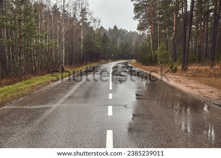 Wet road after autumn rain
