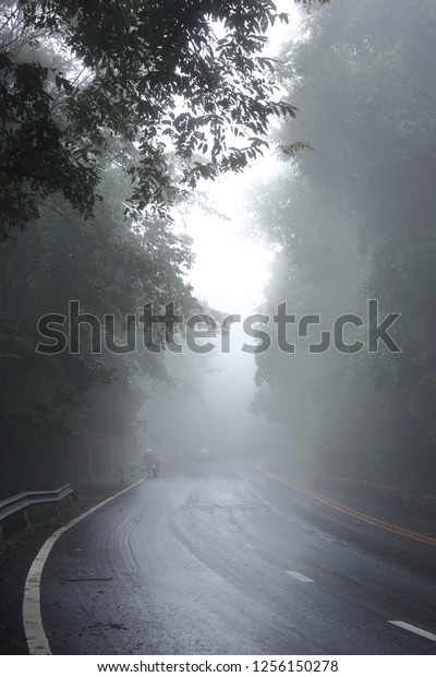 Wet road and\
foggy