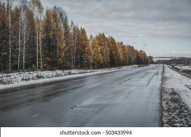 Wet Road In The Forest