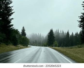 Wet road in misty forest. Morning mist making the woods disappear.  