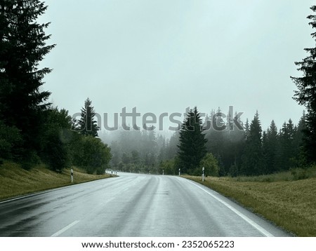 Wet road in misty forest. Morning mist making the woods disappear.  