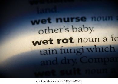 Wet Rot Word In A Dictionary. Wet Rot Concept, Definition.