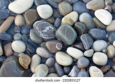 a lot of wet round pebbles. Background with round pebble stones. Stones beach smooth. Top view. - Shutterstock ID 2202855127