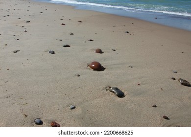 Wet Sand Beach As A Natural Background