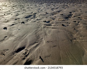 Wet Saturated Sand On Beach Footprints Stock Photo 2134518793 ...