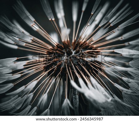 Similar – Image, Stock Photo abstract shapes with branches in nature