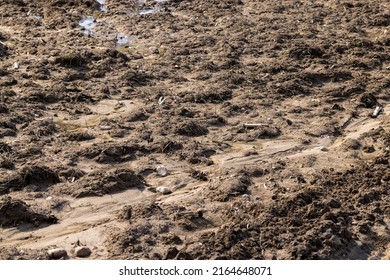 Wet Soil Mud On Agricultural Field Stock Photo 2164648071 | Shutterstock