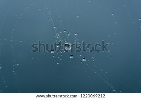 Similar – Image, Stock Photo Broken Silence Splinter