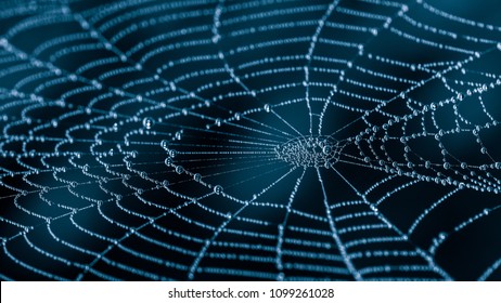 Wet spiderweb with beads of dew droplets close-up. Beautiful harmonic texture from the spider web with water drops on a dark night background with a mysterious blue glow.