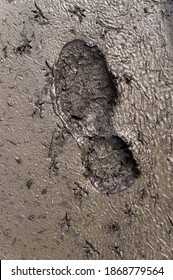 Wet And Sticky Mud With Shoe Print