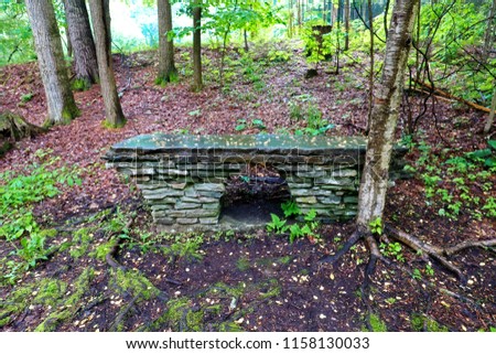 A wet stone bench in the forest between tree trunks, moss, green foliage and dry leaves.
