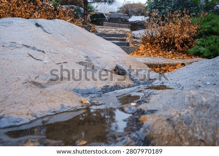 Wet stone surfaces with a reflective puddle in the foreground, framing a rustic rock staircase with autumn foliage and green bushes in a misty park