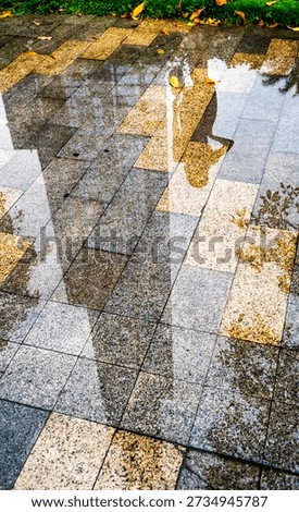 Wet tiled pavement with puddle reflecting a person holding an umbrella; autumn leaves scattered near grass edge, moody rainy day urban walkway texture.