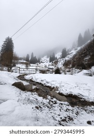 Wet unpaved tracking path bordered by heavy melting snow banks and pine trees under dense winter fog
