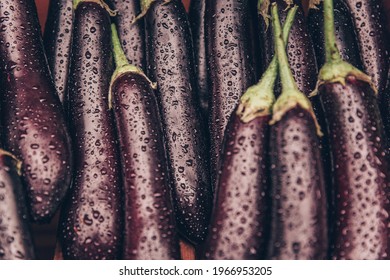 wet vegetables. water drops on vegetables. washed eggplants. eggplant in water.