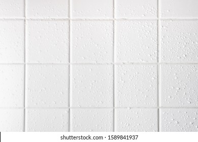 Wet White Tiles In The Bathroom, White Grout Seams