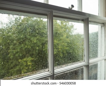 Wet window pane with rain water droplets and greenery background