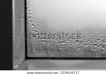 Wet window in winter in house - living with hight humidity - Fungus in living room