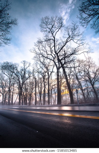Wet winter road on foggy morning with yellow\
dividing line and bare trees.\
