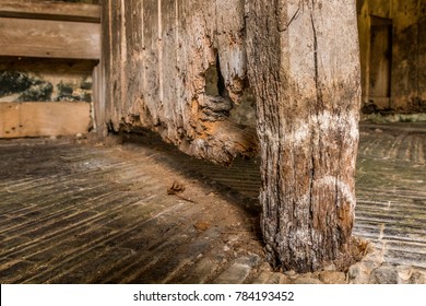 Wet Wood Rot Decay On Timber In Old Stable Block