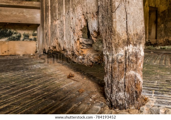 Wet wood rot\
decay on timber in old stable\
block