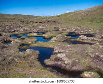 A Wetland Area Forming Peat Near Hoo Field, Voe On Mainland, Shetland, UK