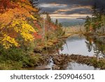 A wetland with a beaver dam surrounded by a colorful forest in the autumn season in Adirondack National Park, Upper New York