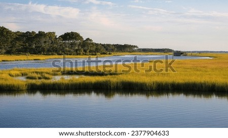 the wetland in Chincoteague National Wildlife Refuge, Assateague Island National Seashore, Chincoteague, Virginia