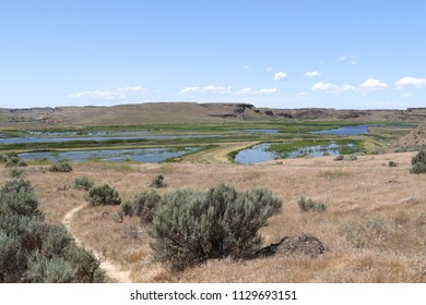 Wetland At Columbia National Wildlife Refuge, Washington