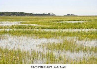 Wetland Conservation At The Virginia National Seashore