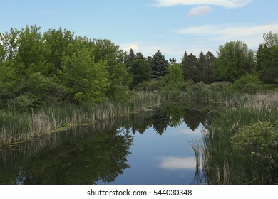 Wetland In Grand Forks, North Dakota