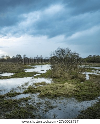 Wetland landscape under dramatic, cloudy sky. Puddles reflect gray tones and sparse vegetation. Bare shrubs dot muddy terrain. Scene evokes solitude, tranquility, or melancholy