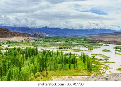 Wetland, Leh, Ladakh, India